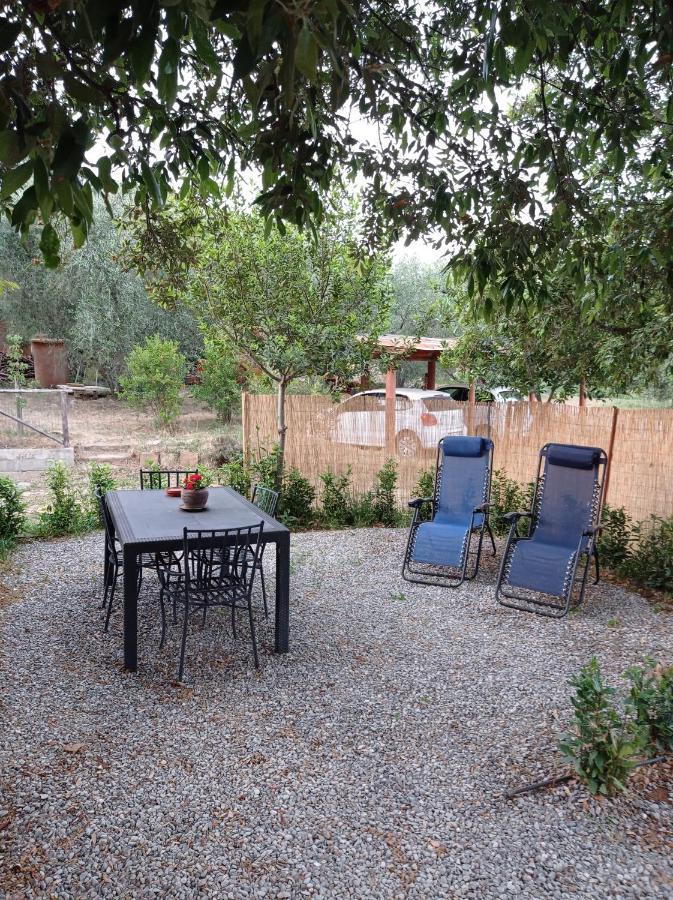 Agriturismo San Giorgino Grosseto Zimmer foto